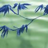 Blue Maple Branches